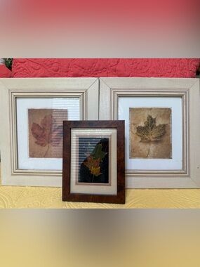 Neutral Framed Leaf Wall Art Set - Cream and Brown Lot 3